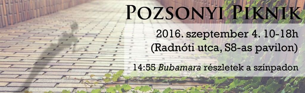 pozsonyi_piknik_honlapslide_2016_uj